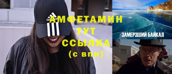винт Вяземский