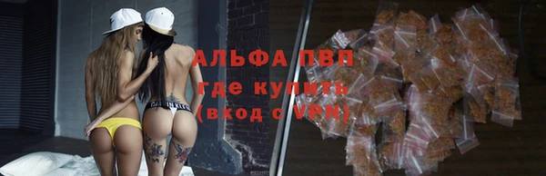 винт Вяземский