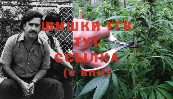 mdpv Вязники